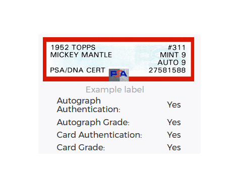 Platinum Service (card & auto grade)